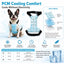 Pet Cooling Vest for Summer Walks & Outdoor Play