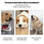 PuppiLob Automatic Dog Ball Launcher - Hands-Free Fetch