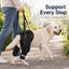 Rear Support Dog Harness for Stairs, Car Entry & Walks