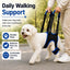 Rear Leg Support Sling for Dogs