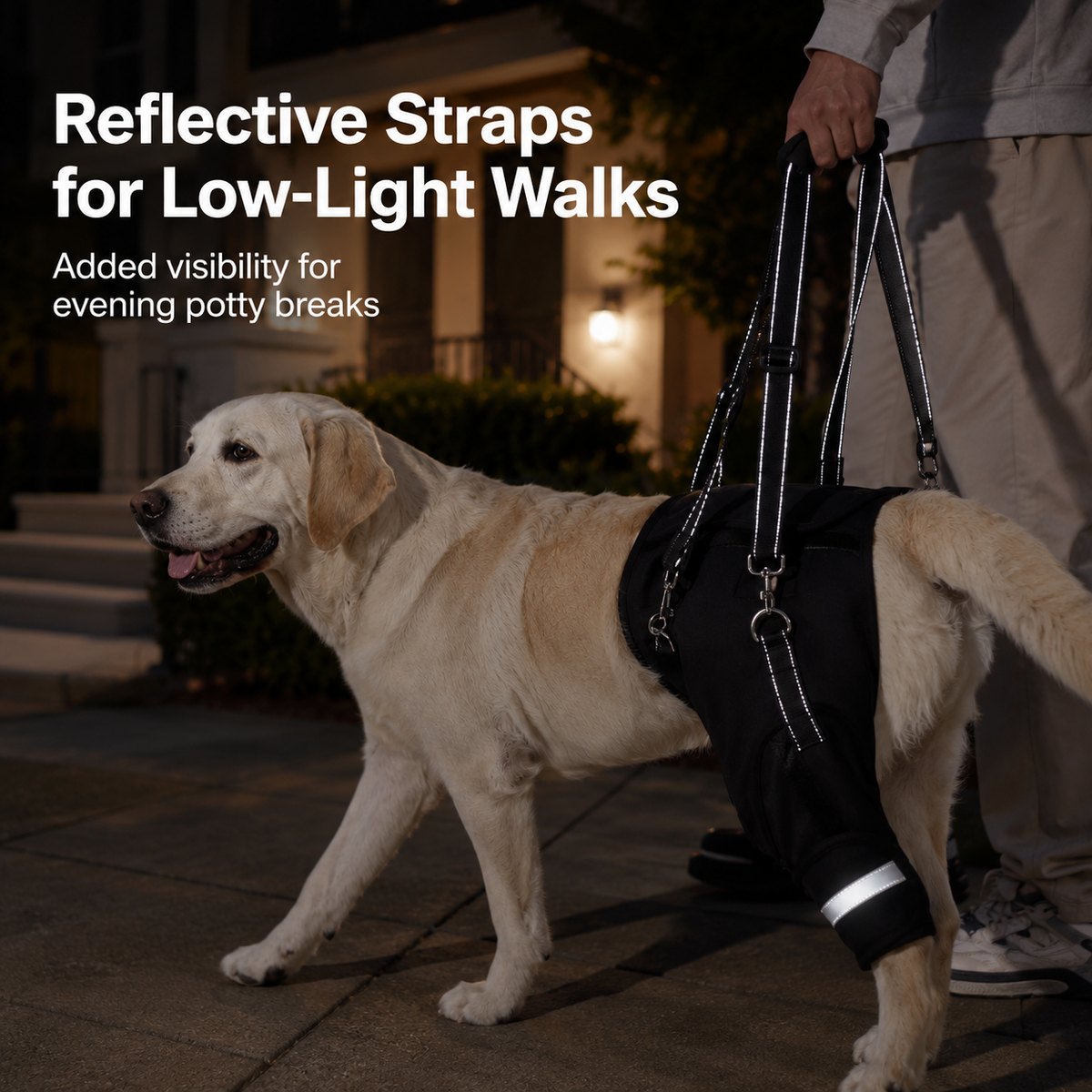 Rear Support Dog Harness for Stairs, Car Entry & Walks