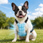 Pet Cooling Vest for Summer Walks & Outdoor Play