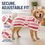 Wearable Microfiber Dog Drying Towel for Bath & Rain