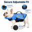 FloatGuard Dog Life Jacket with Chin Float