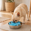 Cut-to-Fit Slow Feeder Insert & Steel Bowl Set