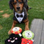 Tuxedo Black & White Dog Bandana for Weddings with Bow Tie