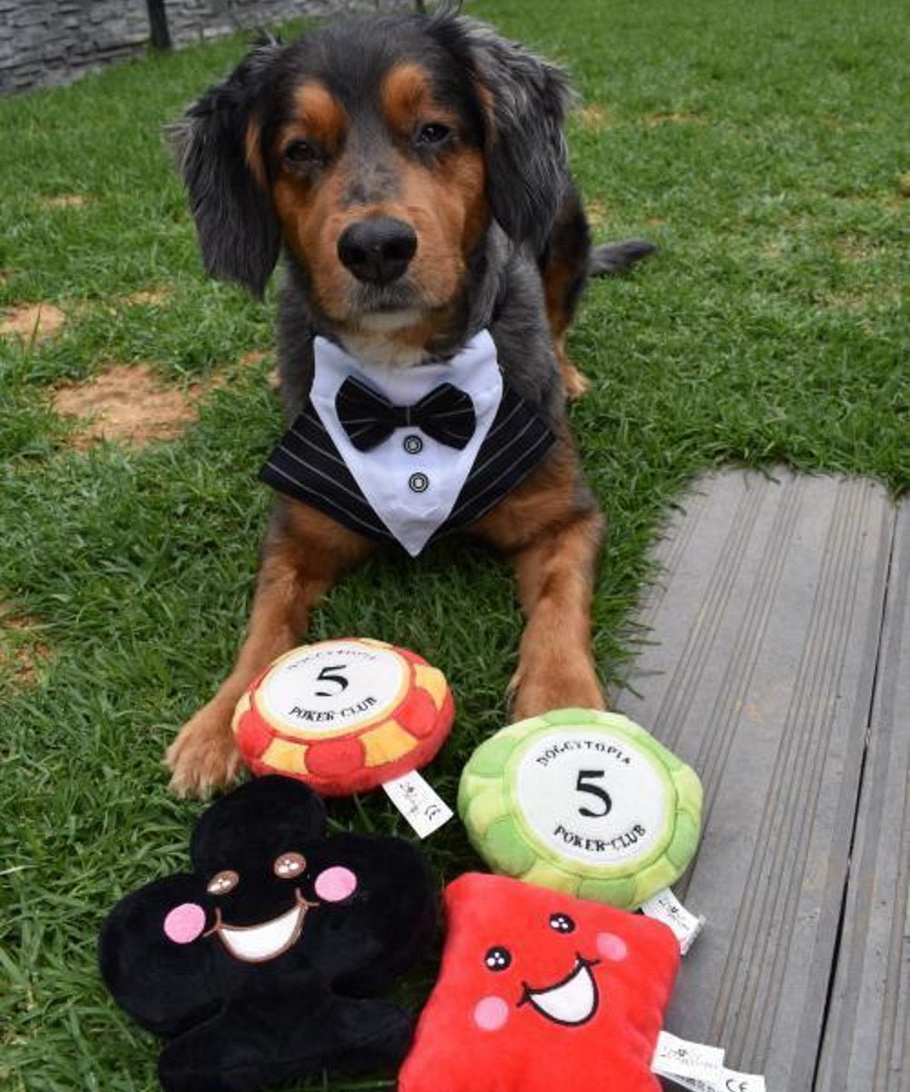 Tuxedo Black & White Dog Bandana for Weddings with Bow Tie