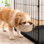 Crate-Mounted Stainless Steel Pet Bowl for Kennels