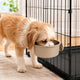 Crate-Mounted Stainless Steel Pet Bowl for Kennels