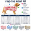 Wearable Microfiber Dog Drying Towel for Bath & Rain